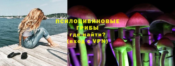 бутират Белокуриха
