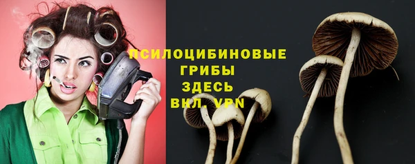 бутират Белокуриха