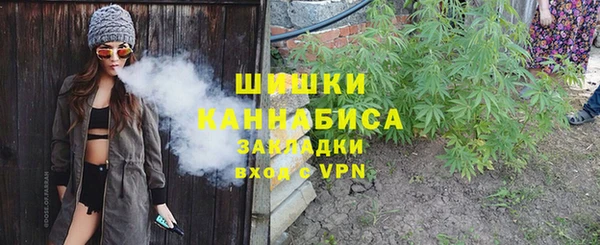 бутират Белокуриха