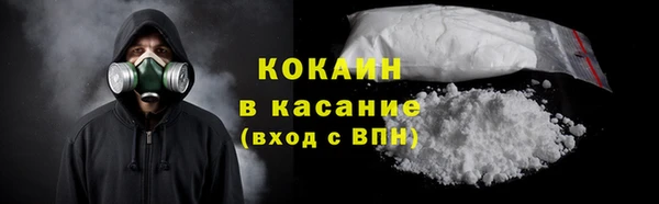 трава Бородино
