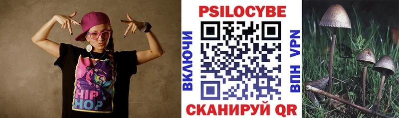 Галлюциногенные грибы Psilocybe купить наркотик Велиж